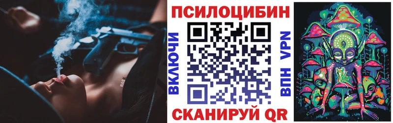 Галлюциногенные грибы мицелий блэк спрут онион Ершов